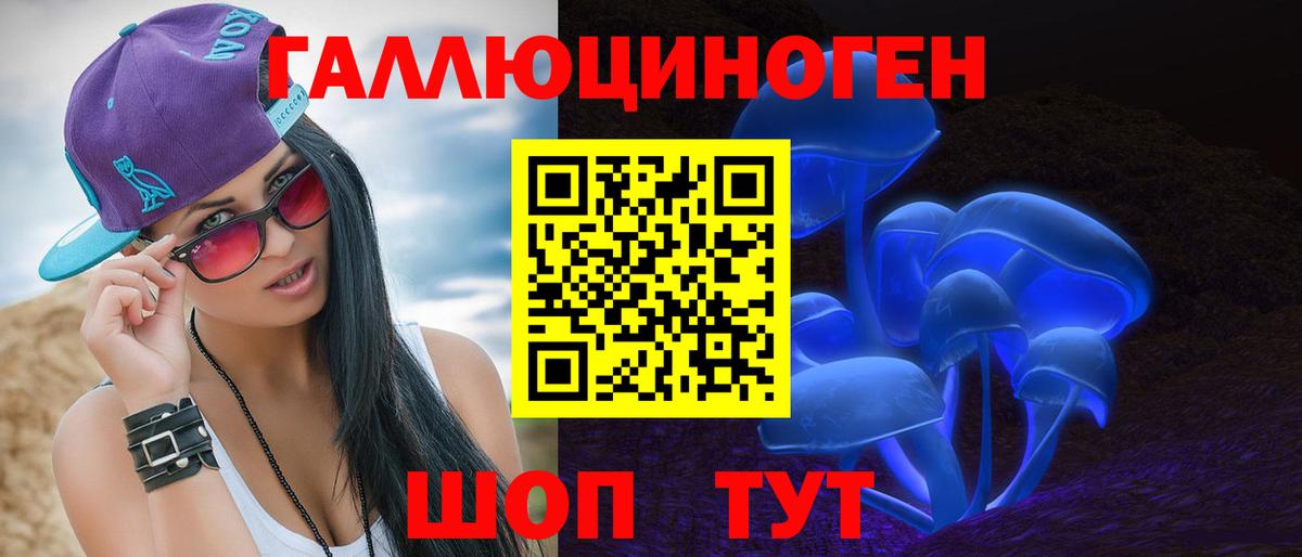 Сосновый Бор  Псилоцибиновые грибы Psilocybe  Вход с VPN  Псилоцибиновые грибы Psilocybine cubensis 